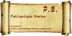 Pattantyus Barna névjegykártya